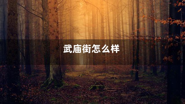 武庙街怎么样