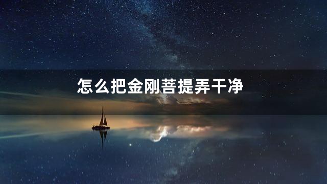 怎么把金刚菩提弄干净