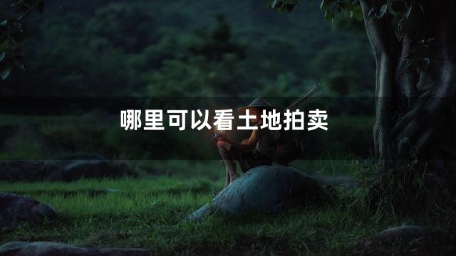 哪里可以看土地拍卖