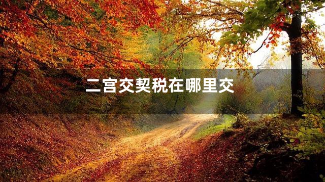 二宫交契税在哪里交