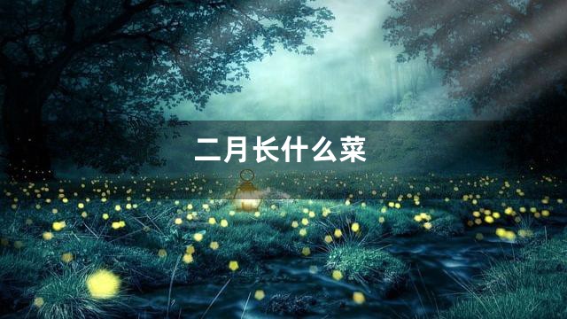 二月长什么菜