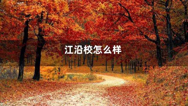 江沿校怎么样