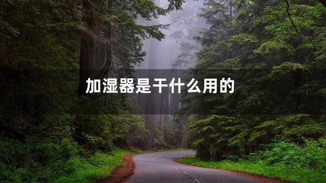 加湿器是干什么用的