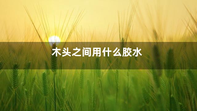 木头之间用什么胶水