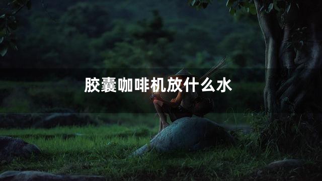 胶囊咖啡机放什么水