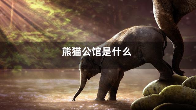 熊猫公馆是什么