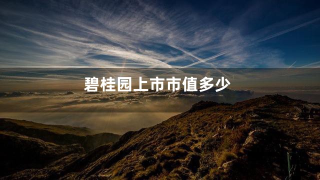 碧桂园上市市值多少