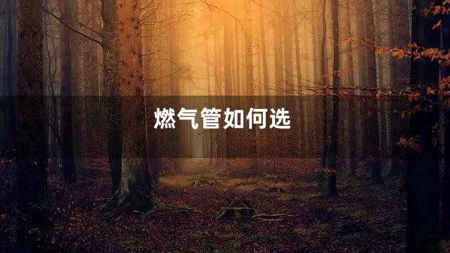 燃气管如何选
