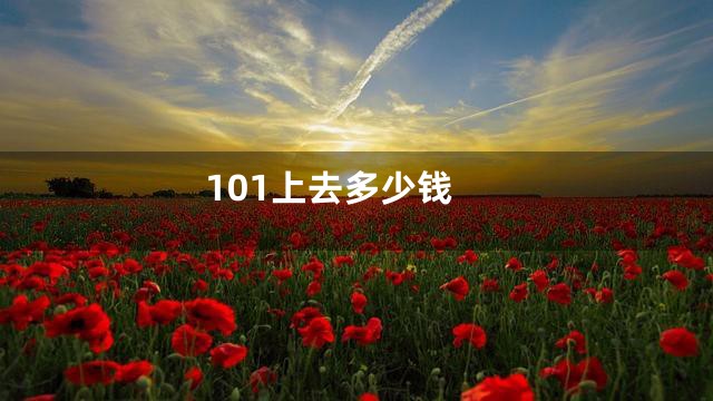 101上去多少钱