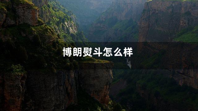 博朗熨斗怎么样