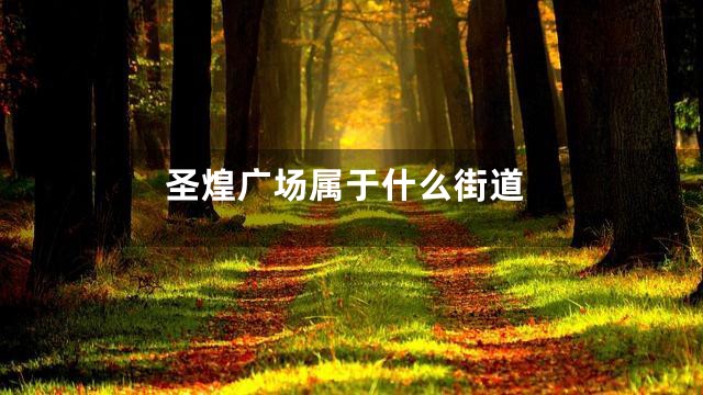 圣煌广场属于什么街道