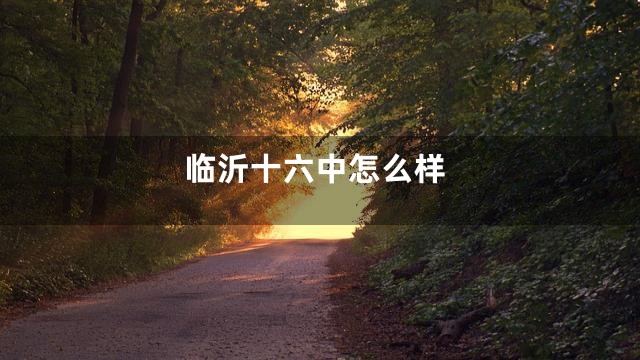 临沂十六中怎么样