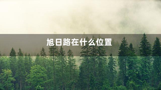 旭日路在什么位置
