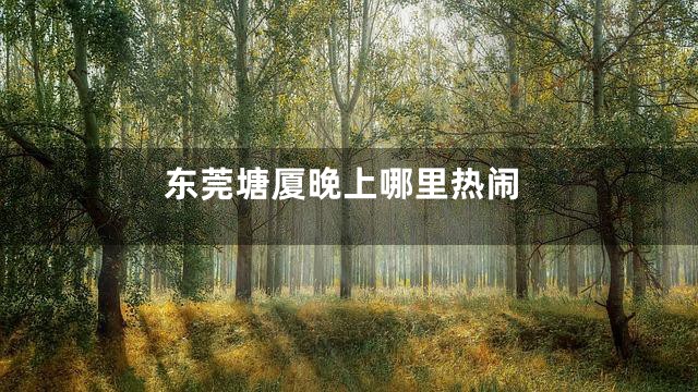 东莞塘厦晚上哪里热闹