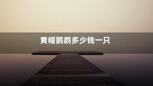 黄帽鹦鹉多少钱一只