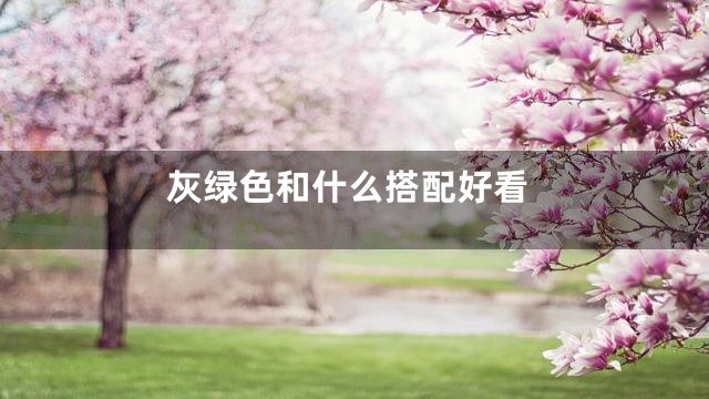 灰绿色和什么搭配好看