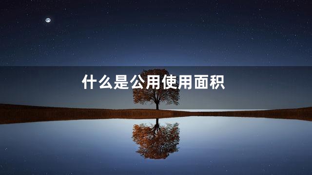 什么是公用使用面积