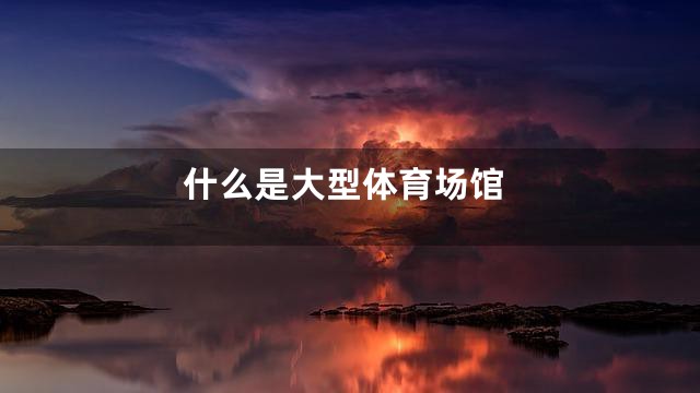 什么是大型体育场馆
