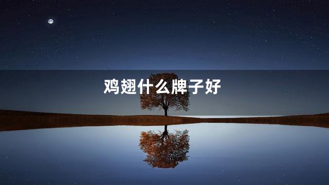 鸡翅什么牌子好