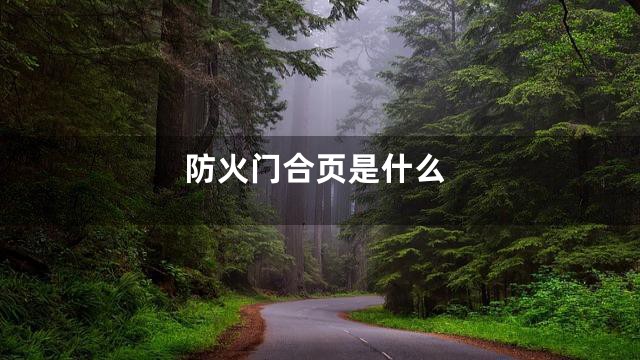 防火门合页是什么