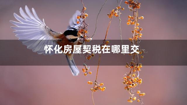 怀化房屋契税在哪里交