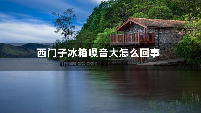 西门子冰箱噪音大怎么回事