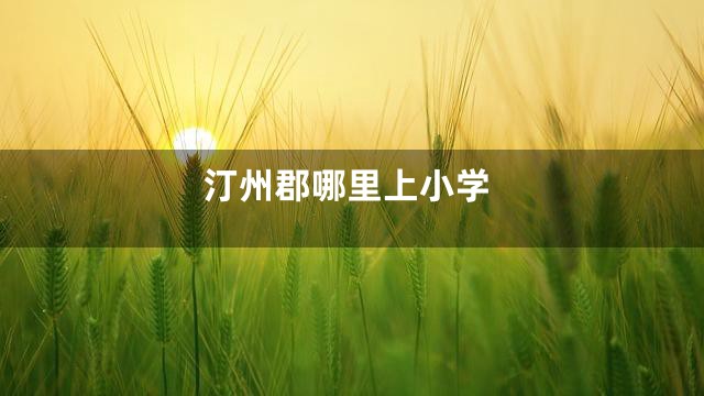 汀州郡哪里上小学