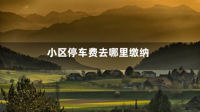 小区停车费去哪里缴纳