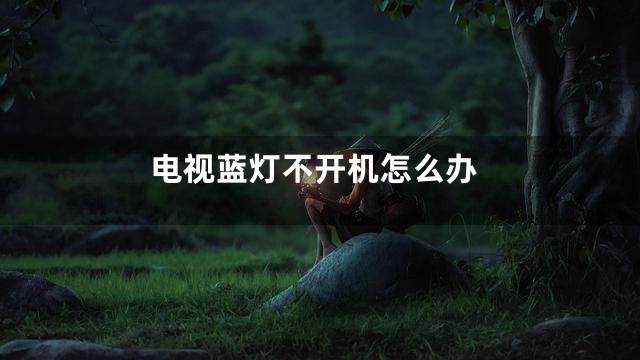 电视蓝灯不开机怎么办
