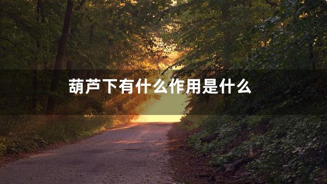 葫芦下有什么作用是什么