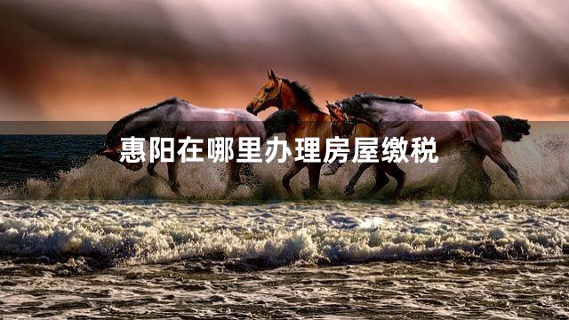 惠阳在哪里办理房屋缴税