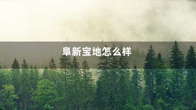 阜新宝地怎么样