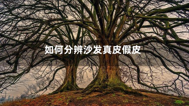 如何分辨沙发真皮假皮