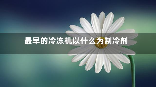最早的冷冻机以什么为制冷剂