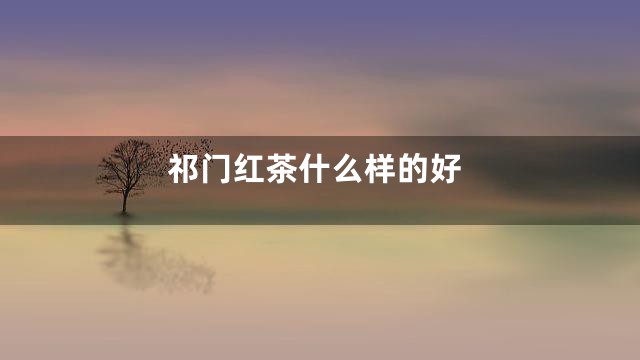 祁门红茶什么样的好