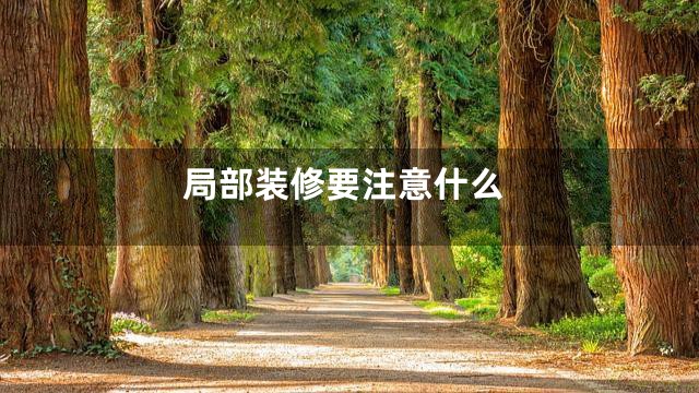 局部装修要注意什么