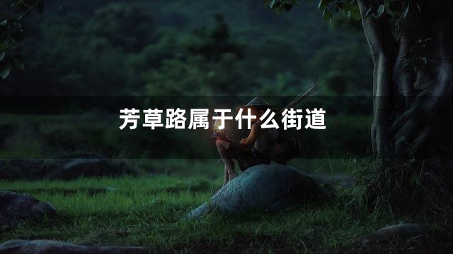 芳草路属于什么街道