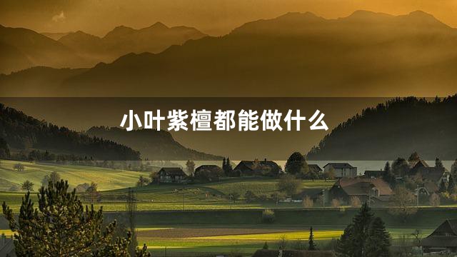 小叶紫檀都能做什么