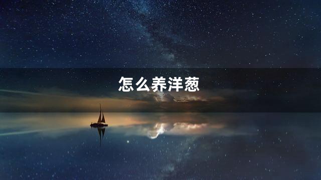 怎么养洋葱