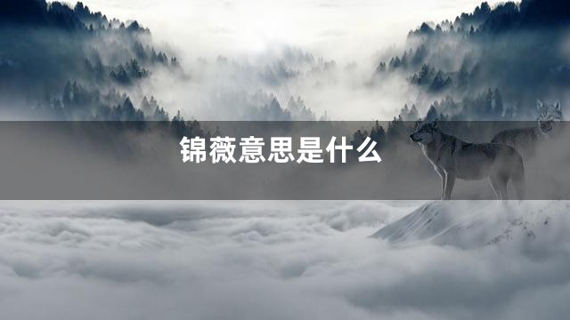 锦薇意思是什么