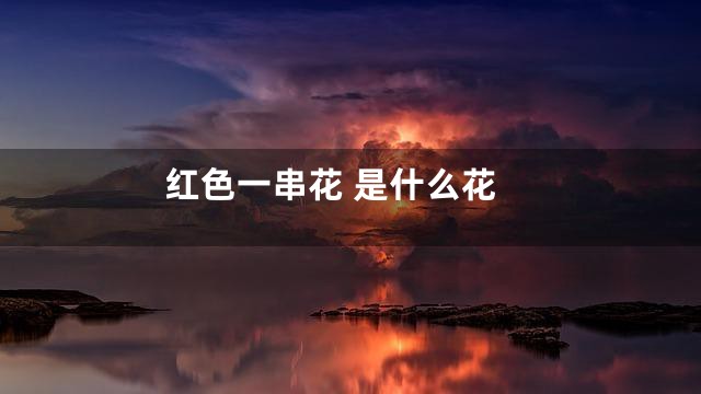 红色一串花 是什么花