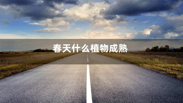 春天什么植物成熟