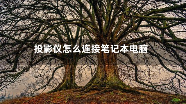 投影仪怎么连接笔记本电脑
