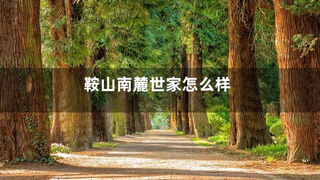 鞍山南麓世家怎么样