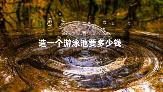 造一个游泳池要多少钱