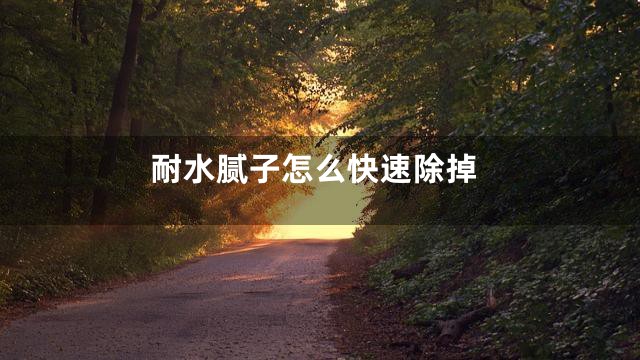 耐水腻子怎么快速除掉