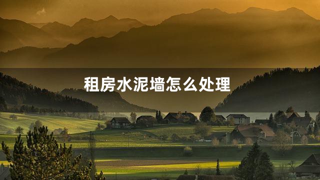 租房水泥墙怎么处理