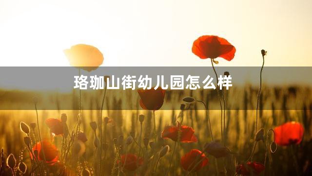珞珈山街幼儿园怎么样