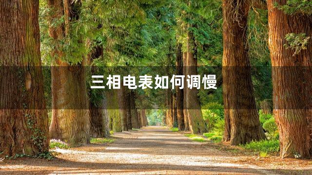 三相电表如何调慢