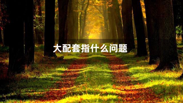 大配套指什么问题